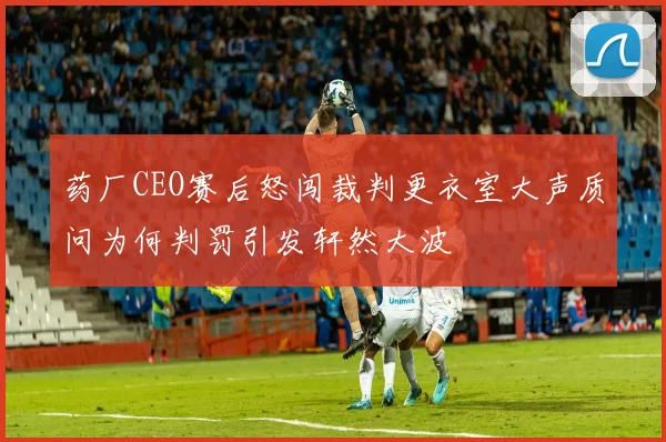 药厂CEO赛后怒闯裁判更衣室大声质问为何判罚引发轩然大波