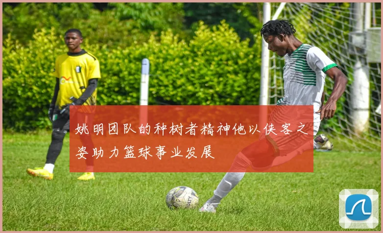 姚明团队的种树者精神他以侠客之姿助力篮球事业发展
